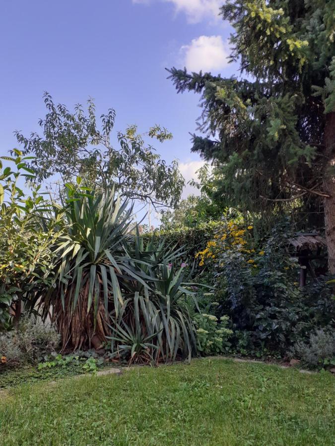 Gemutliche Zentrumsnahe Ferienwohnungen Mit Gemeinschaftsgarten Wittenberg 外观 照片